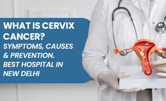  What Is Cervix Cancer? 
