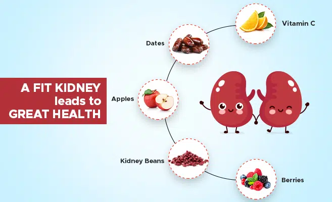  How to Take Care of Kidneys in Summer 