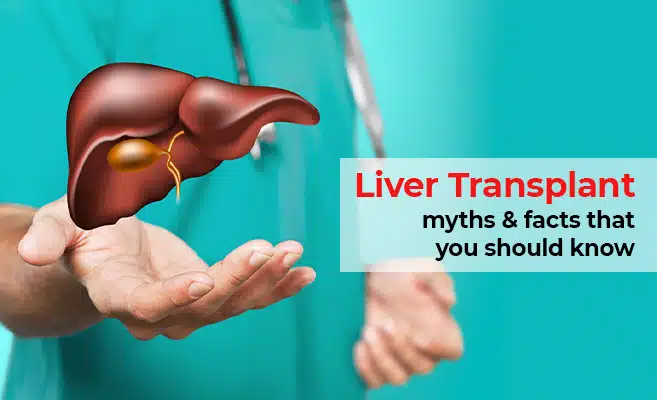  Liver Transplant Myths & Facts That You Should Know 