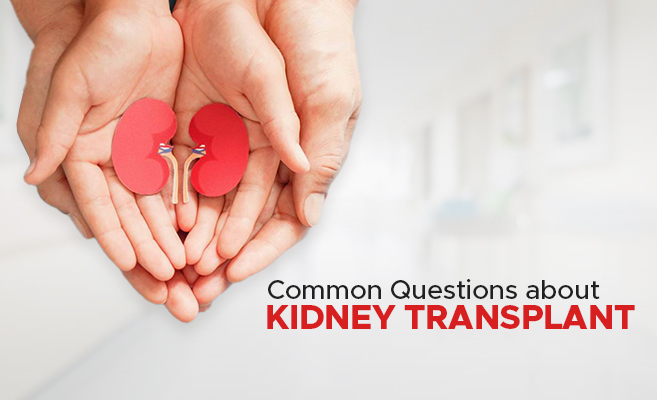  Common Questions about Kidney Transplant 