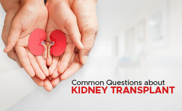 Common Questions about Kidney Transplant
