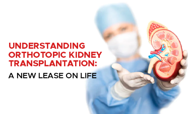 Understanding Orthotopic Kidney Transplantation: A New Lease on Life