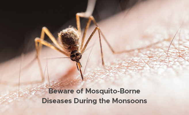  Beware of Mosquito-Borne Diseases During the Monsoons 