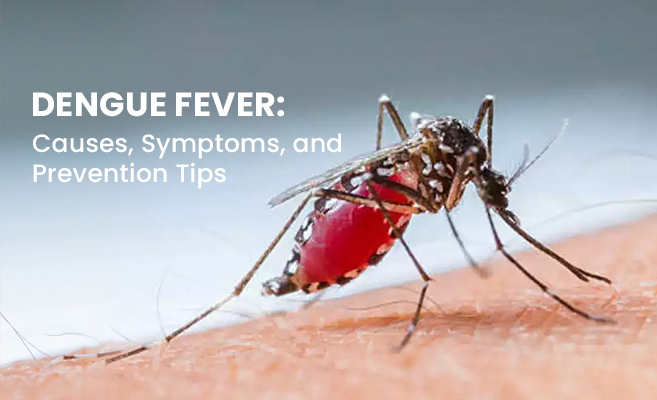  Dengue Fever: Causes, Symptoms, and Prevention Tips 