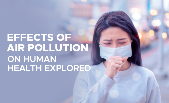  Effects Of Air Pollution On Human Health Explored 