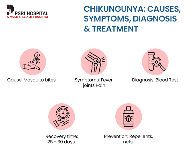 chikungunya causes