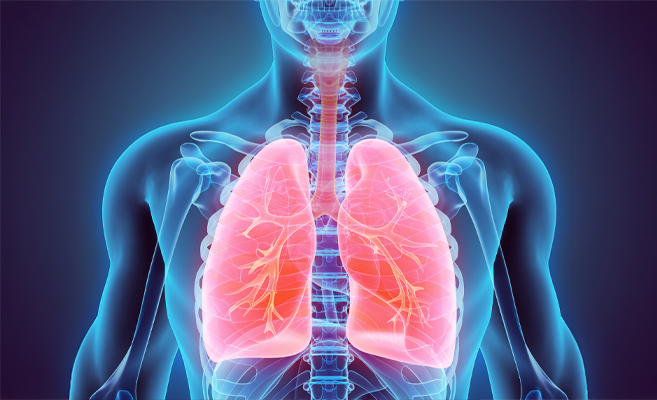 How Respiratory System and Heart are Intertwined?