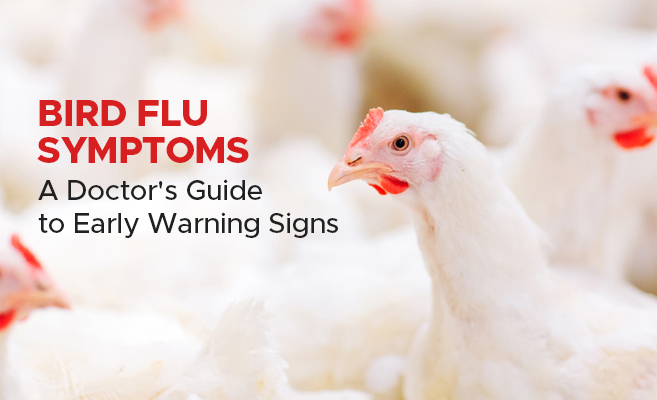  Bird Flu Symptoms: A Doctor’s Guide to Early Warning Signs 