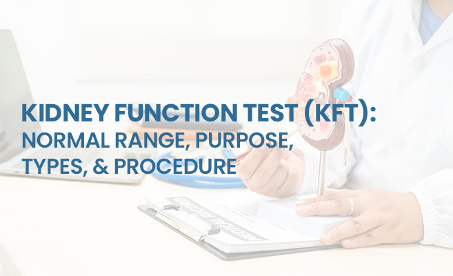Kidney Function Test (KFT): Normal Range, Purpose, Types, & Procedure