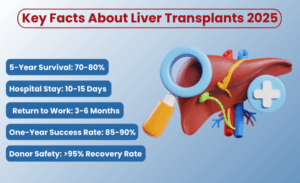 Liver Transplant Cost in India 2026: Surgery Price, Recovery & Outcomes
