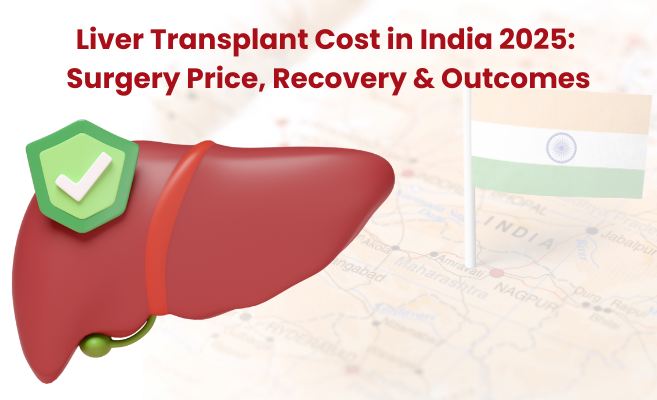  Liver Transplant Cost in India 2025: From Diagnosis to Recovery 