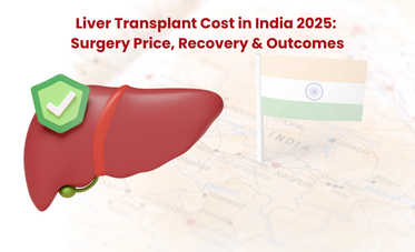 Liver Transplant Cost in India 2025: From Diagnosis to Recovery