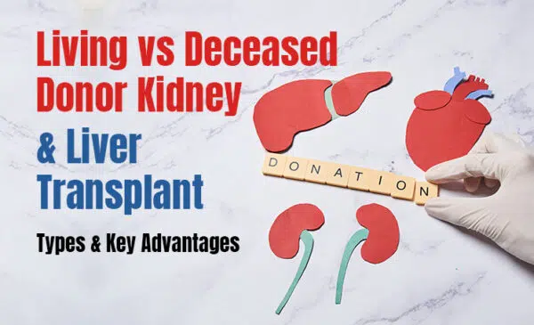 living vs deceased donor kidney & liver transplant — types & key advantages