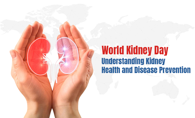 World Kidney Day: Understanding Kidney Health and Disease Prevention
