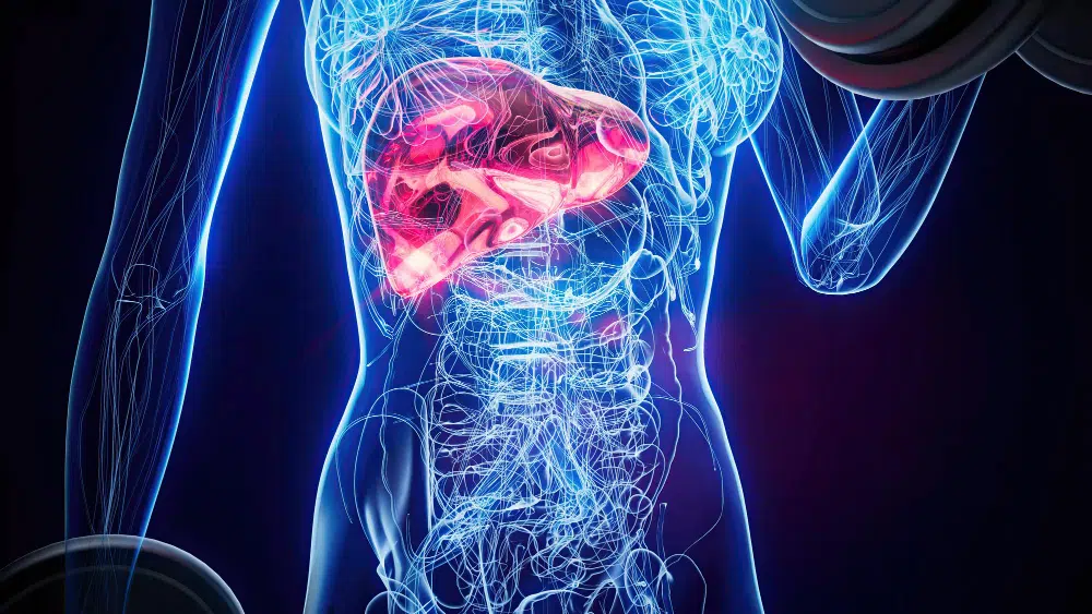 hpb surgery vs liver transplant